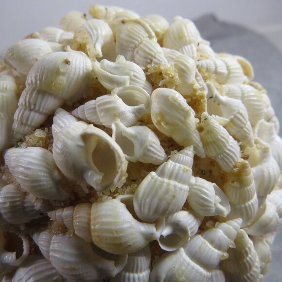 Hanging Sea Shell Ball - Orb - Round Coastal Decoration 13" round - Picture 3 of 13